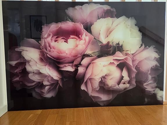 tavlor i glas – tiger samt  blommor