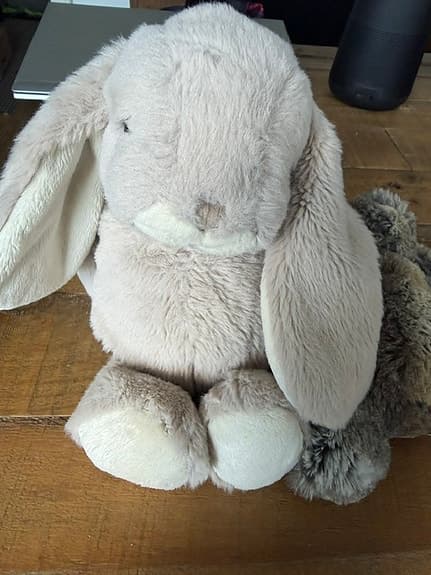 Två kaniner från Bukowski och Jellycat