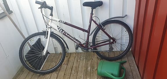 Mountainbike Crescent