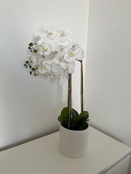 Konstväxt orkidé (80 cm hög) med vit ytterkruka