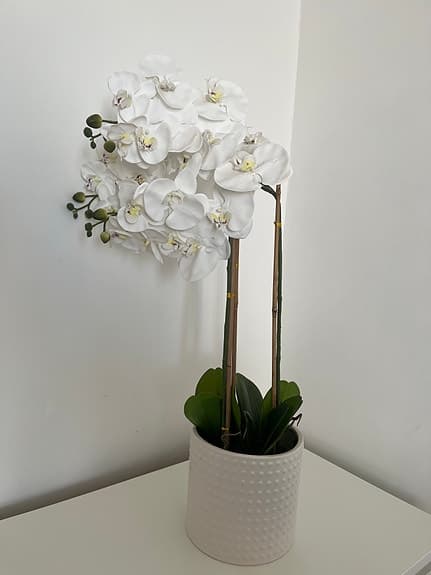 Konstväxt orkidé (80 cm hög) med vit ytterkruka