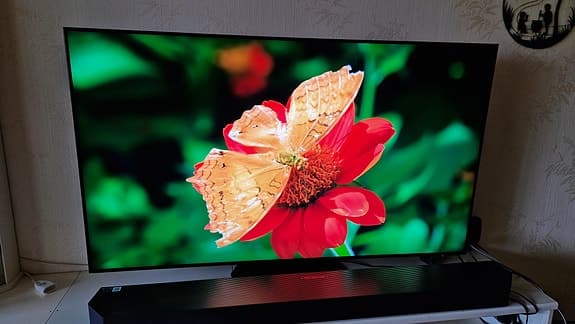 Samsung TV 55" QN90D 4K Mini-LED Smart-TV, 2024