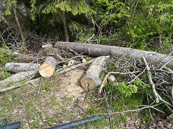 Blandat trädfällningsvirke / ved