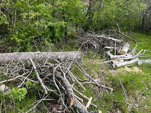 Blandat trädfällningsvirke / ved