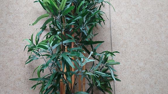 Ikea Fejka Konstgjord krukväxt, bambu, 170 cm