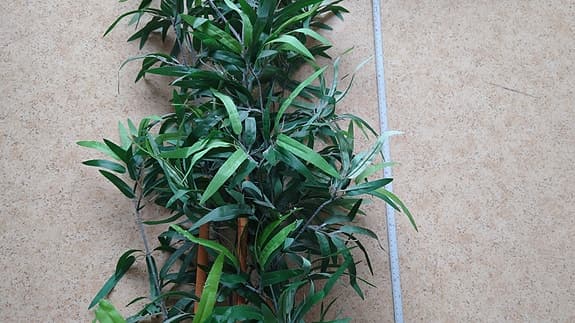 Ikea Fejka Konstgjord krukväxt, bambu, 170 cm