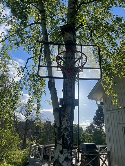 Tarmak höj- och sänkbar basketkorg säljes