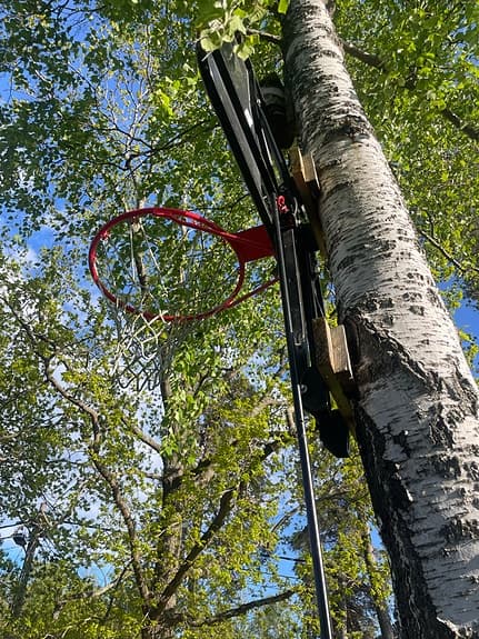 Tarmak höj- och sänkbar basketkorg säljes