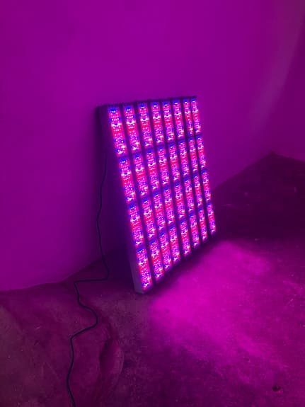 Växtbelysning 8x800W