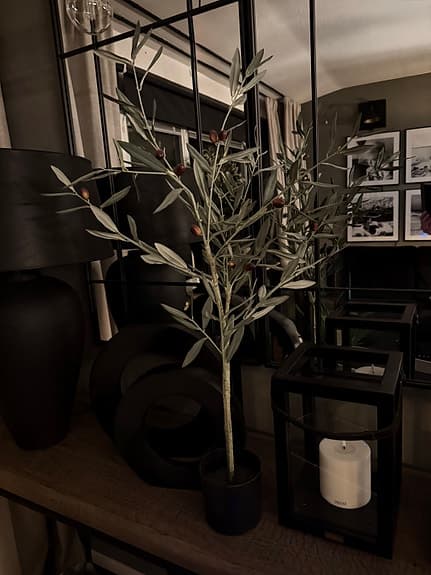 2 olivträd konstgjorda från Mr Plant