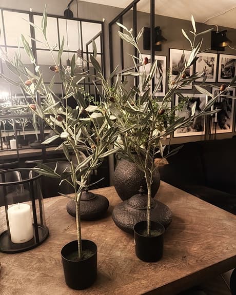 2 olivträd konstgjorda från Mr Plant