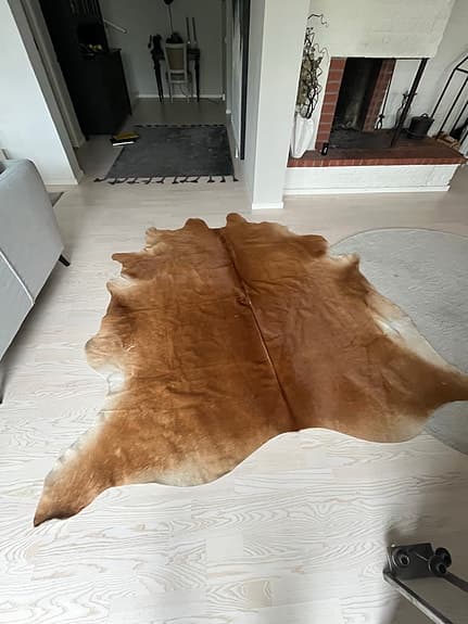 kohud matta brun