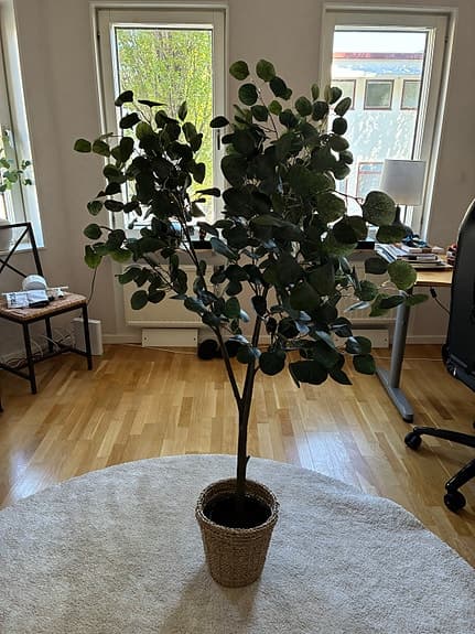 Grönt konstgjort träd i kruka eucalyptus