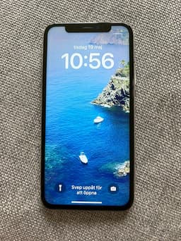 iPhone X