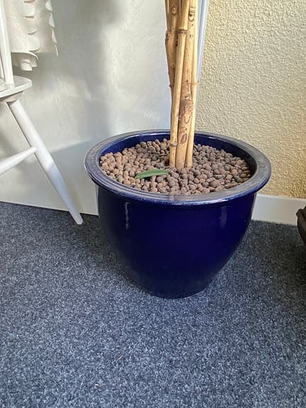 Fejkväxt / konstgjord paraplyaralia/schefflera