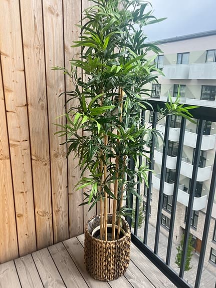 Konstväxt bambu i korg, ca 170 cm