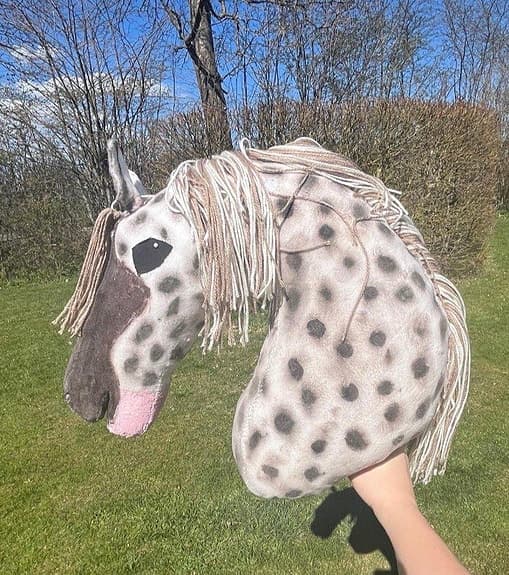 Käpphäst dressyr
