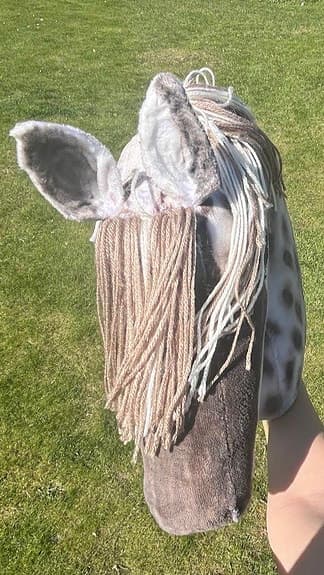 Käpphäst dressyr