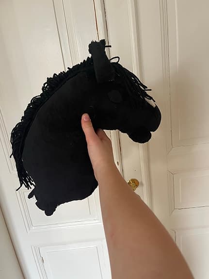 Svart käpphäst
