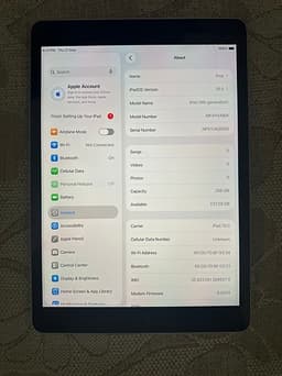 iPad 10.2 (9th Generation 256GB Wi-Fi + Cellular + Apple Pencil 1