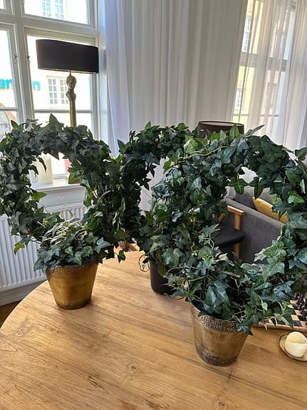 3 stora dekorativa murgröna-arrangemang med mässingskrukor