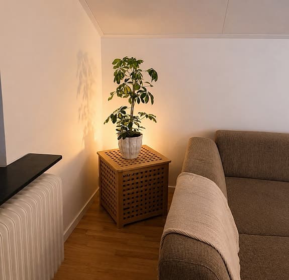 IKEA HOL förvaringsbord 50x50