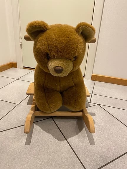 Gungbjörn