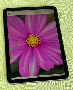 iPad mini 8,3” ( 2021 ) ( 6.gen ) - 64GB  Grå. -  Wi-Fi