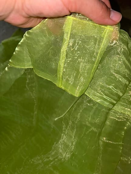 Limegrön Organza gardin