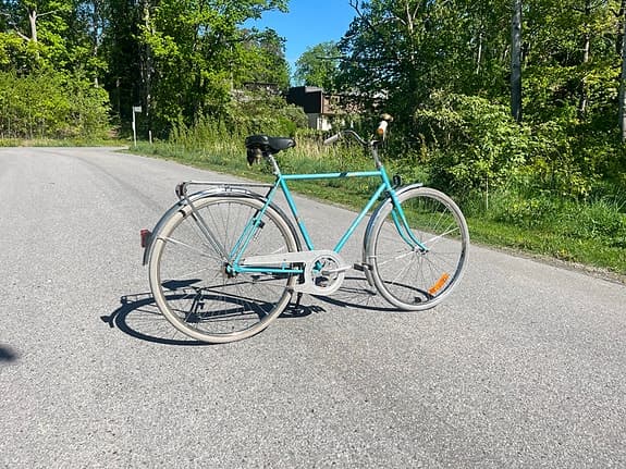 Mustang cruiser