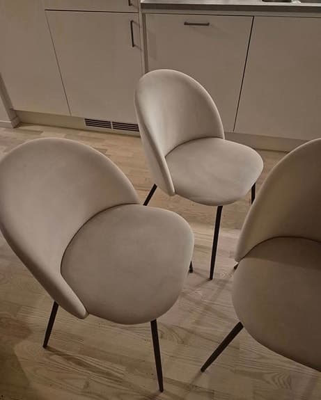 Remo matbord med 4 st Kiwi stolar