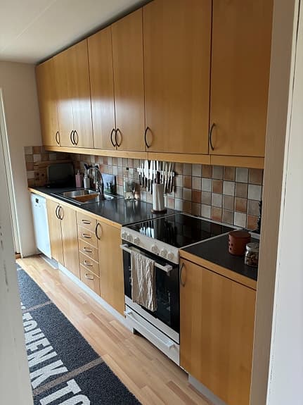 Electrolux vitvaror i fint skick