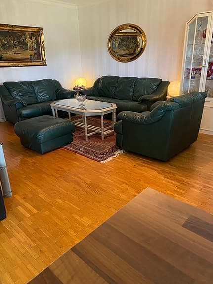 Iittala Arne Jacobsen soffgrupp skinn grön