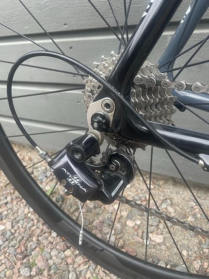 Focus Cayo carbon