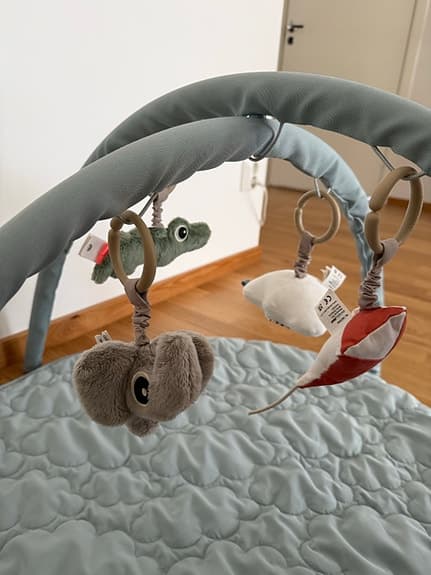 Done by Deer babygym