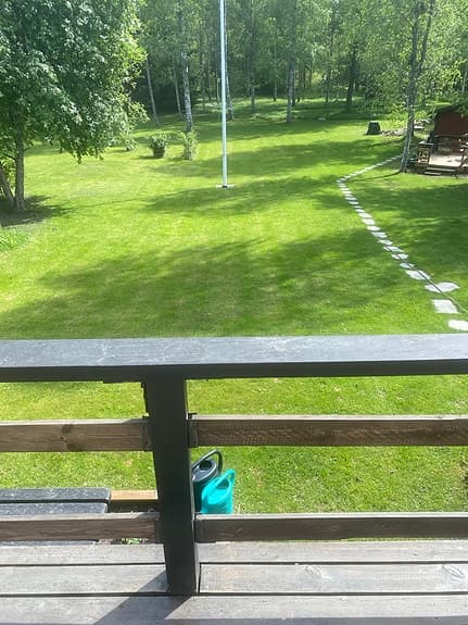 Maskrosborttagare för trädgård
