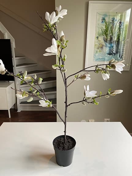 Magnolia växt, konstgjord, vita blommor
