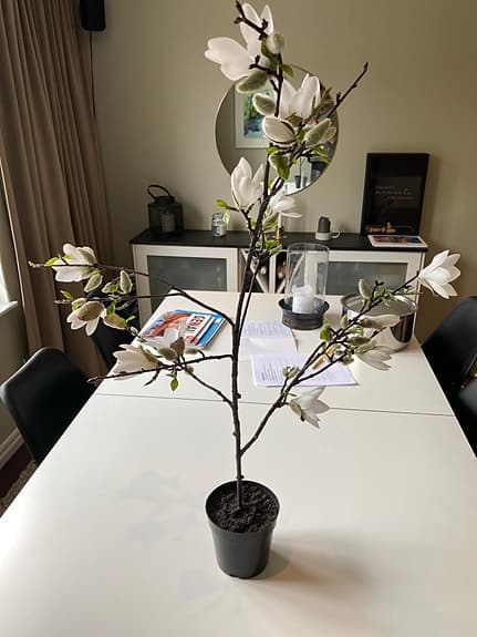 Magnolia växt, konstgjord, vita blommor