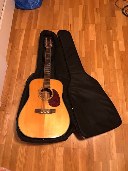 Cort 12-strängad akustisk gitarr med fodral