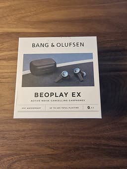 Bang Olufsen Beoplay EX Hörlurar