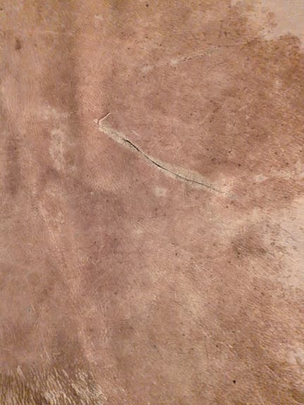 koskinn matta naturfärgad