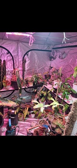 Mars Hydro växtbelysning och 2 odlingstält med tillbehör