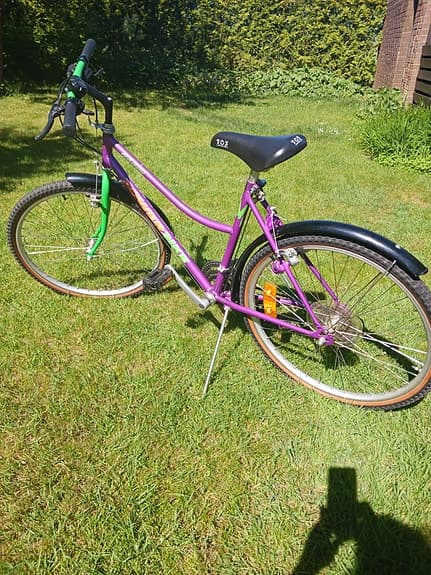 Damcykel Powerbike