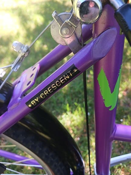 Damcykel Powerbike
