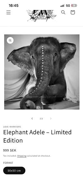 Tavla från Love Warriors - Elephant Adele 50 x 50 cm