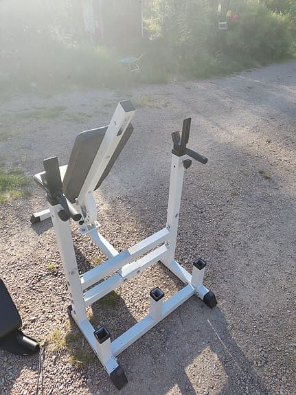 Träningsbänk med dip/skivstångsställning
