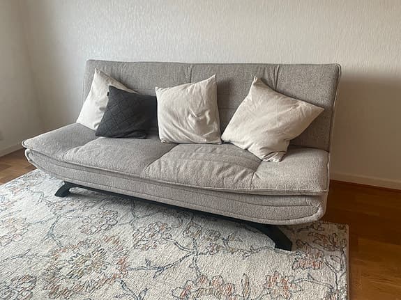 Stylish Sofa Bed