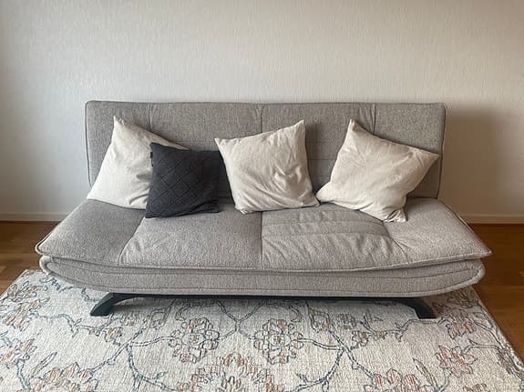 Stylish Sofa Bed