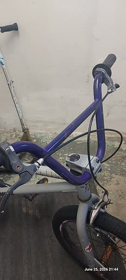 Mongoose BMX