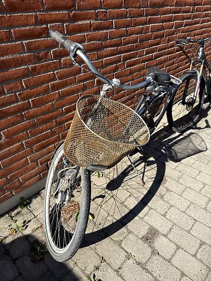 Skeppshult damcykel